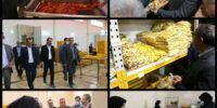استاندار سمنان از شرکت تولیدی زرنگاران در شاهرود بازدید کرد.