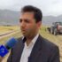 کشت محصولات نشایی در میامی در حال انجام است؛۲۵۰ هکتار از اراضی میامی زیر کشت پیاز است