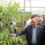 بازدید وزیر جهاد کشاورزی از نخستین زنجیره تولید نهال گردوی پیوندی کشور در تویسرکان