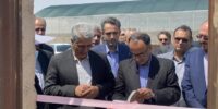 یک واحد گلخانه مدرن در روستای علا با حضور مسئولان استانی افتتاح شد