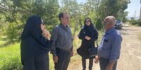 باغات انگور تا صنایع تبدیلی/ پایش جامع زنجیره تولید و فرآوری در شهرستان شاهرود